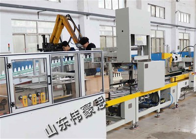 箱料包裝碼垛系統 自動碼垛機廠家