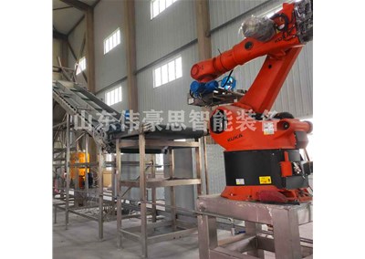 片堿機械手拆垛機可配套哪些設備？