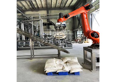 氯化鈣機(jī)械手拆垛機(jī) 拆垛機(jī)器人功能簡(jiǎn)述