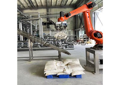 氫氧化鈉拆垛機器人 全自動拆垛拆包流水線